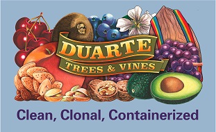 Duarte logo