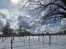 majestic skies after 9 inches of snow, February 2026