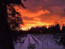 brilliant sunset after snow, February 2026